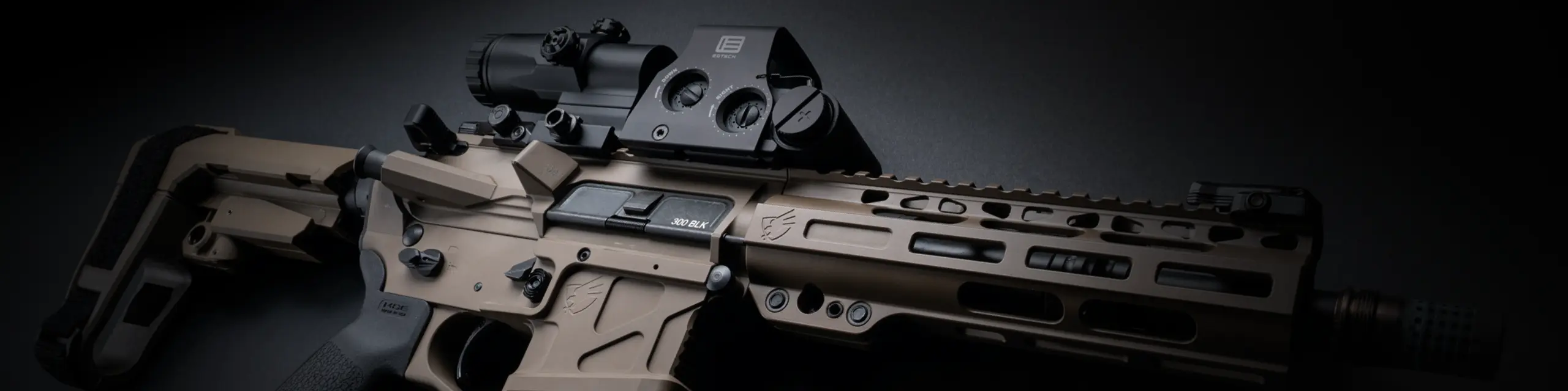 Eotech Optic and American Defense Rifle